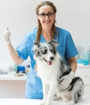 veterinaria-cuidado-cachorro